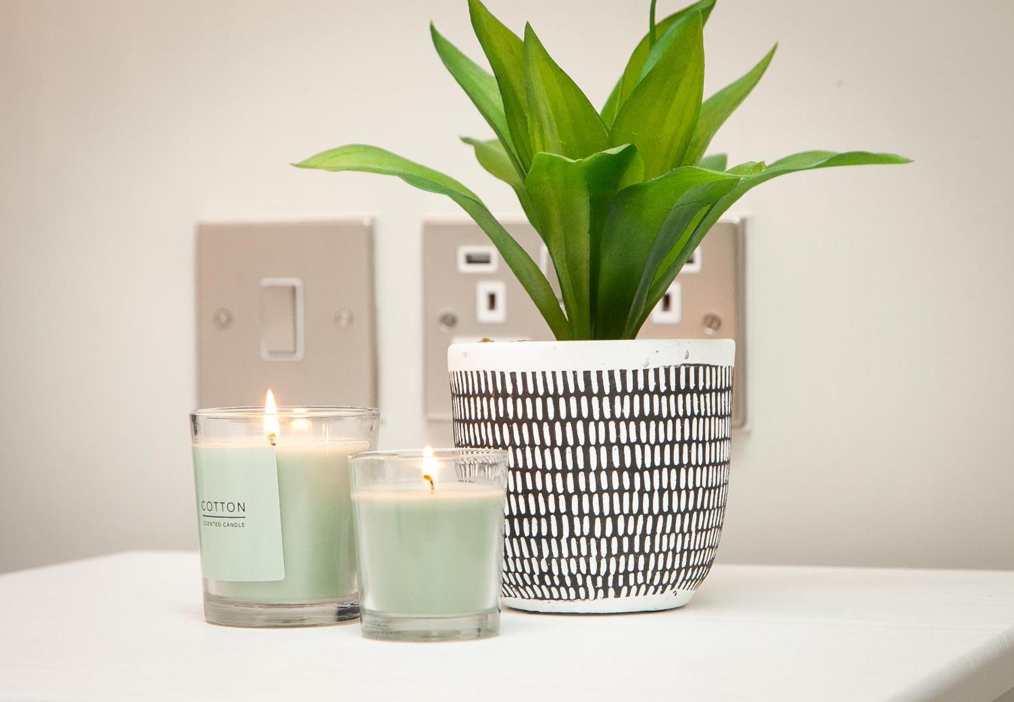 5 Star - The Ulsterville Residences - Free On-Site Parking ベルファスト エクステリア 写真
